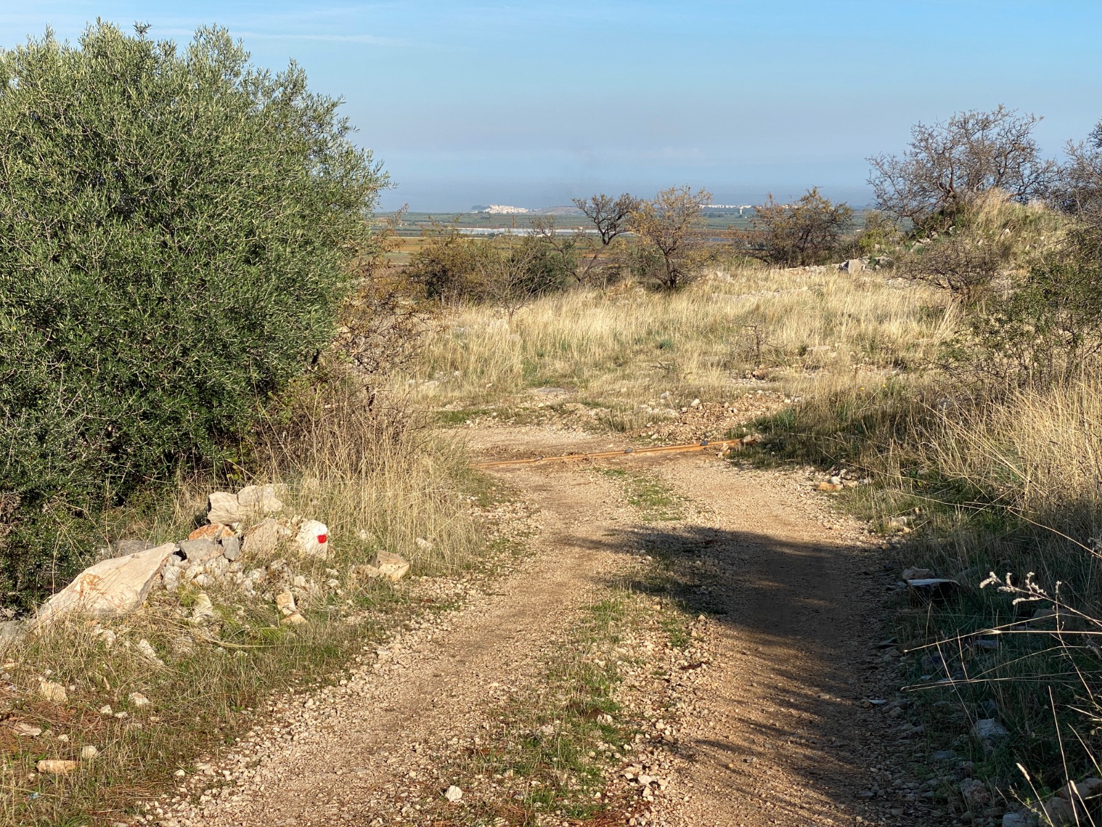 Area pic-nic attrezzata