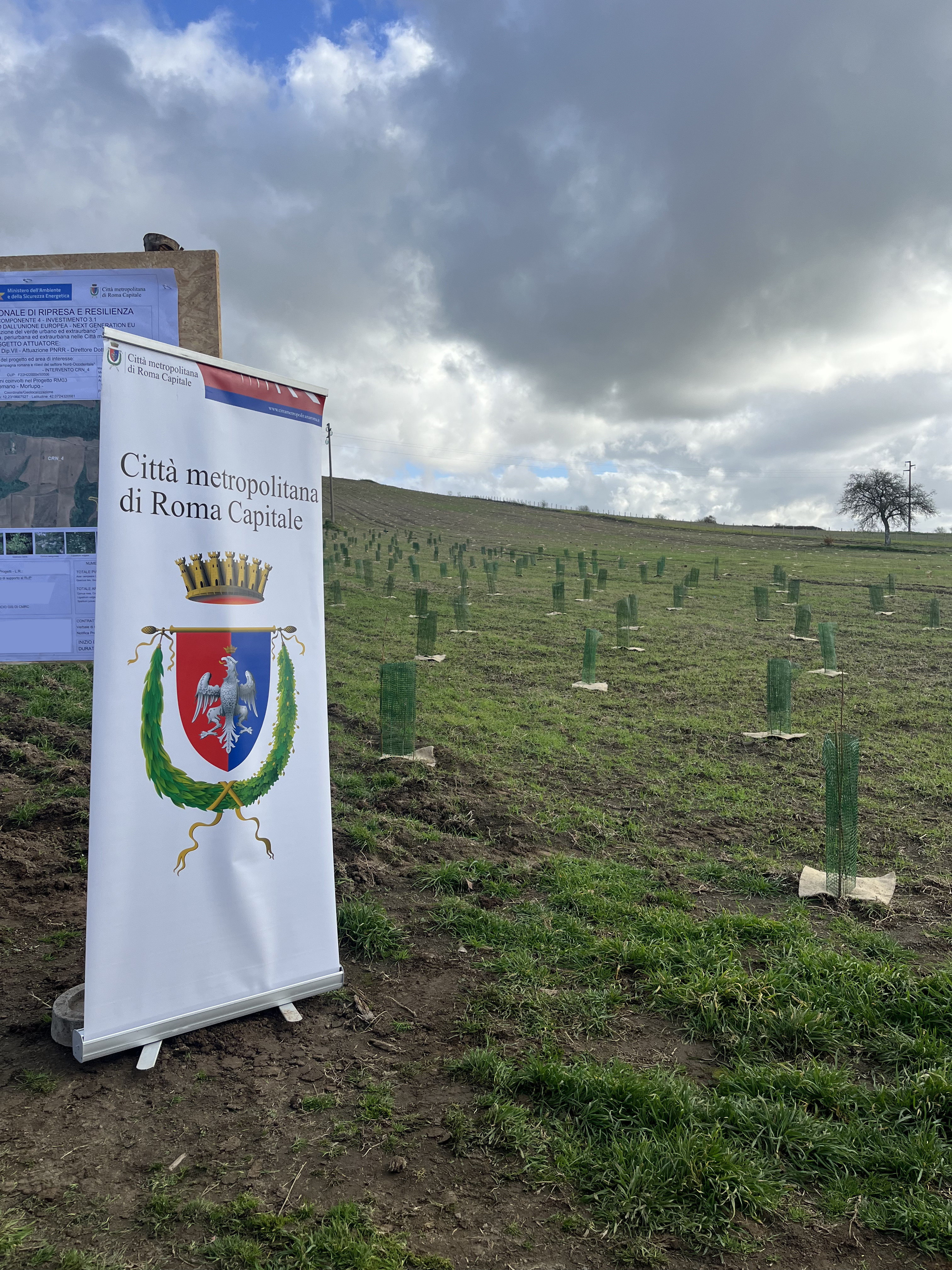 Forestazione PNRR Roma Capitale