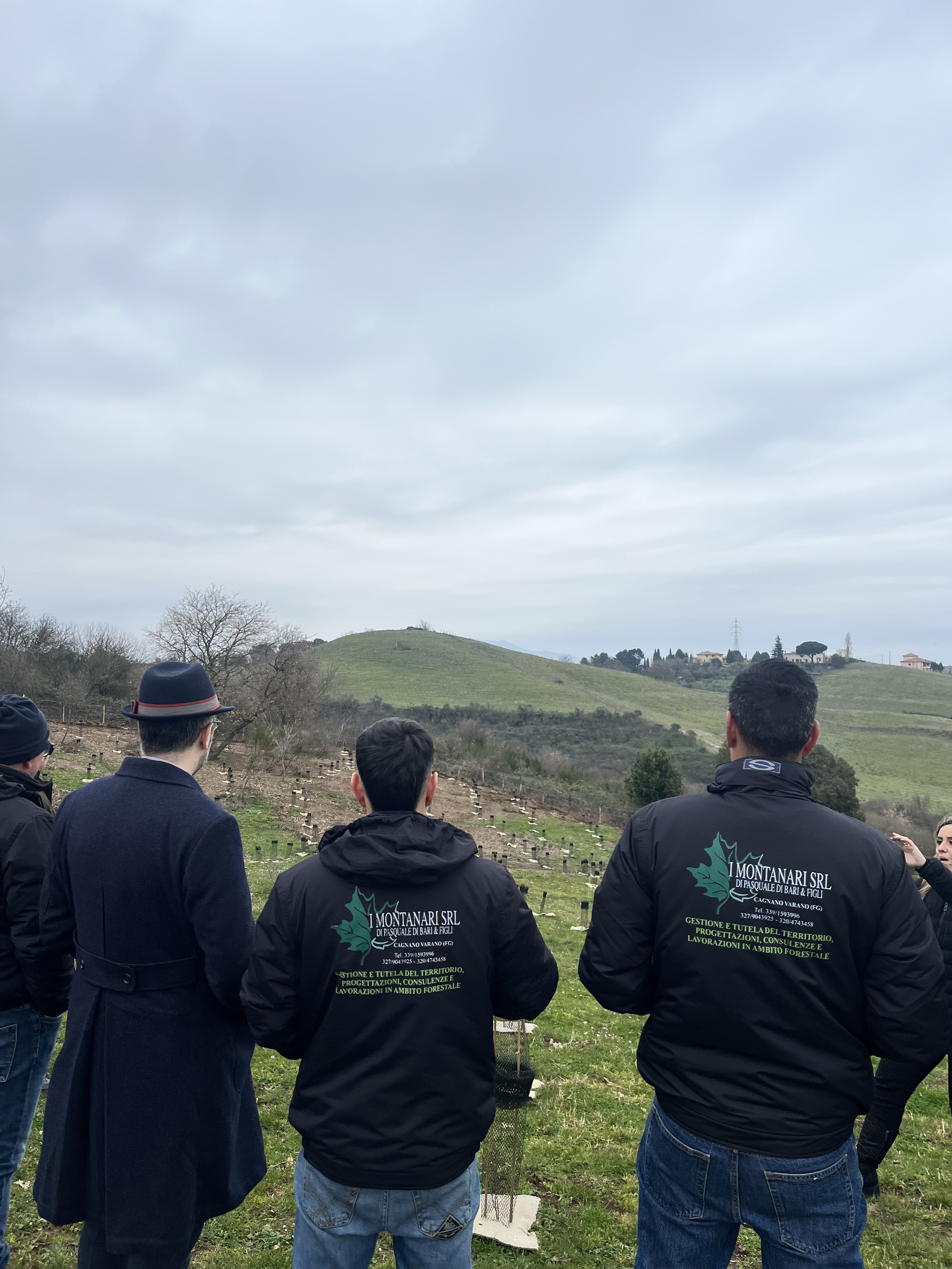 Piantumazione alberi