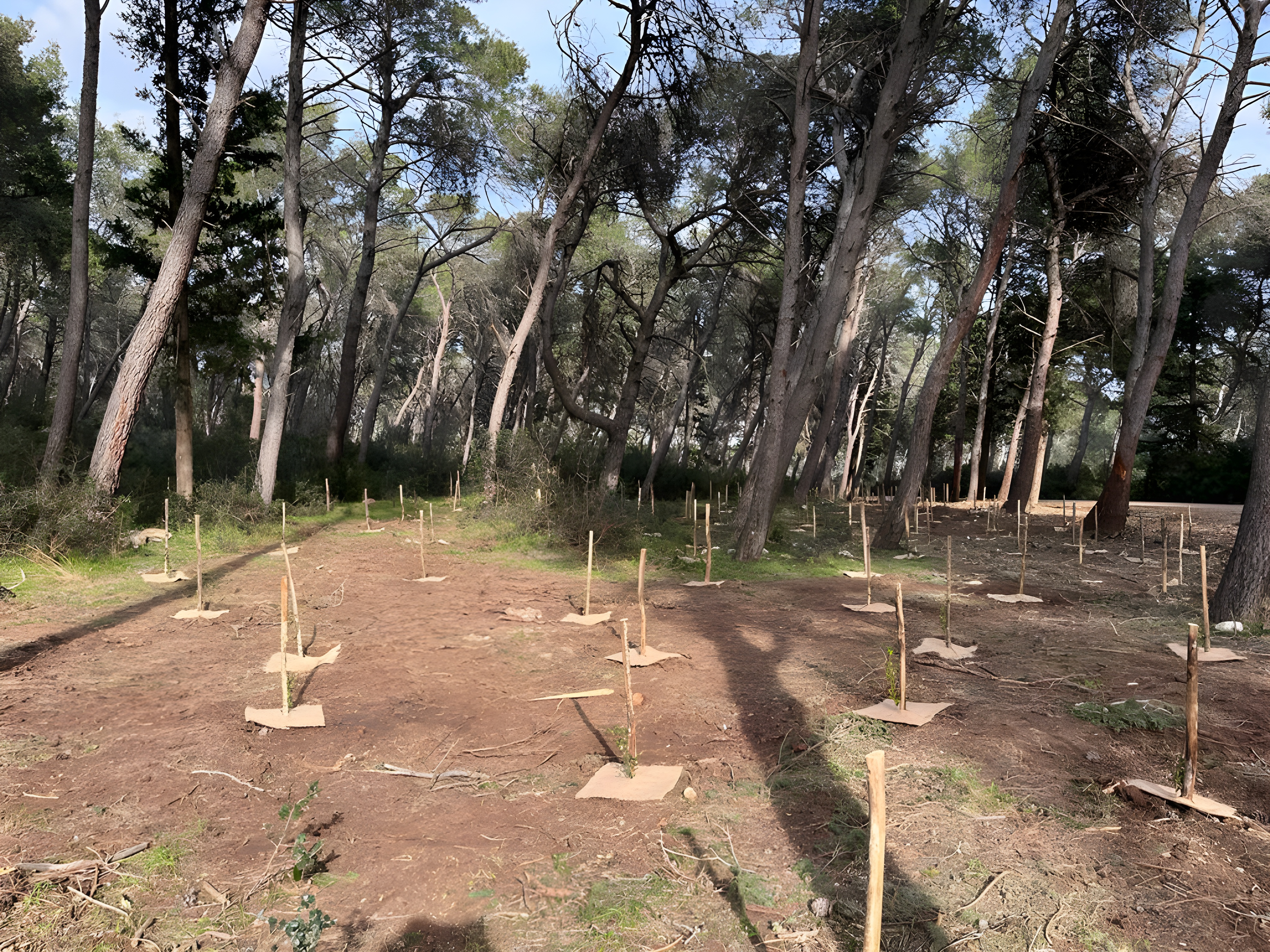 Progetto prevenzione incendi Castellaneta