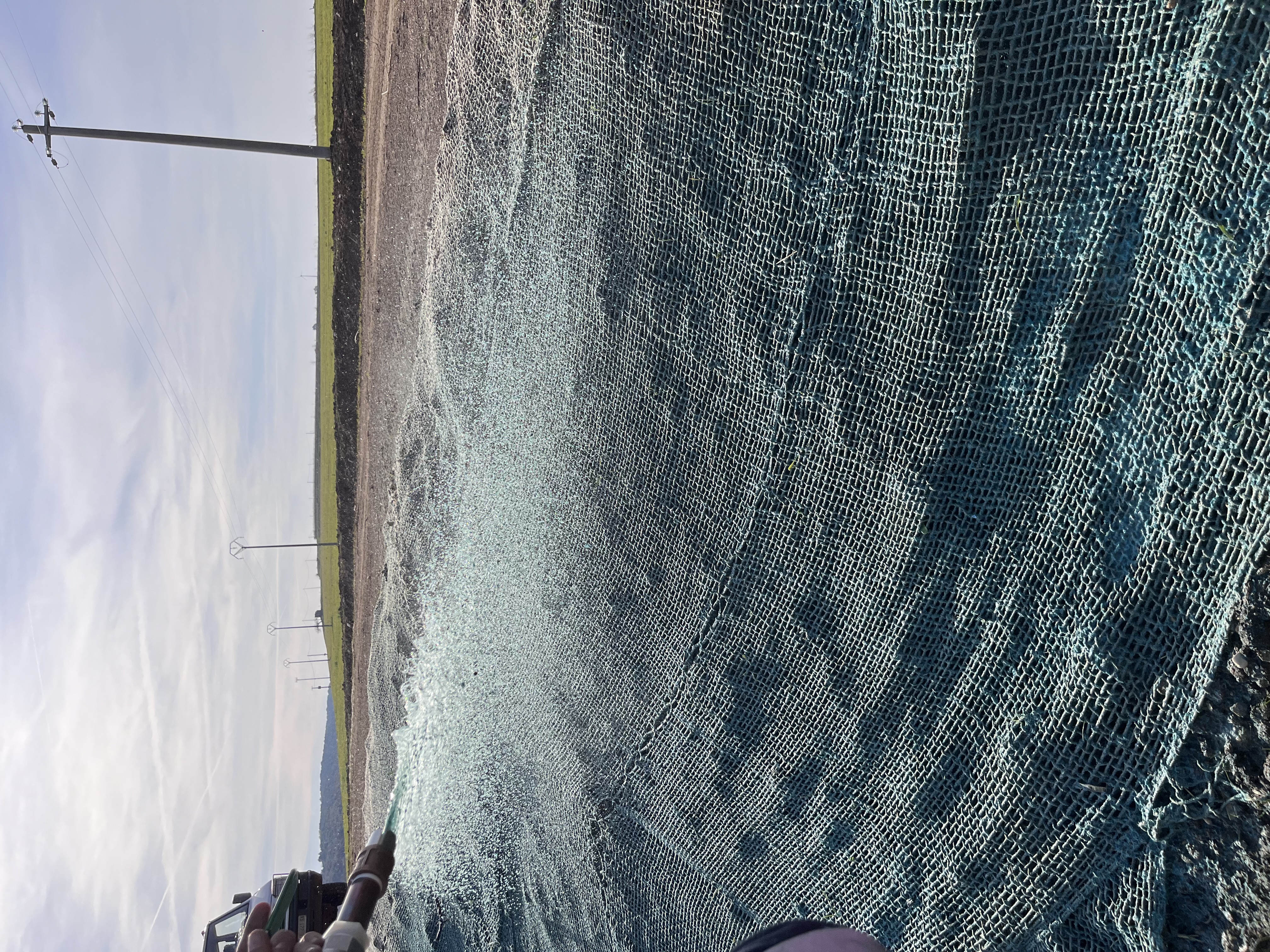 Idrosemina paesaggio