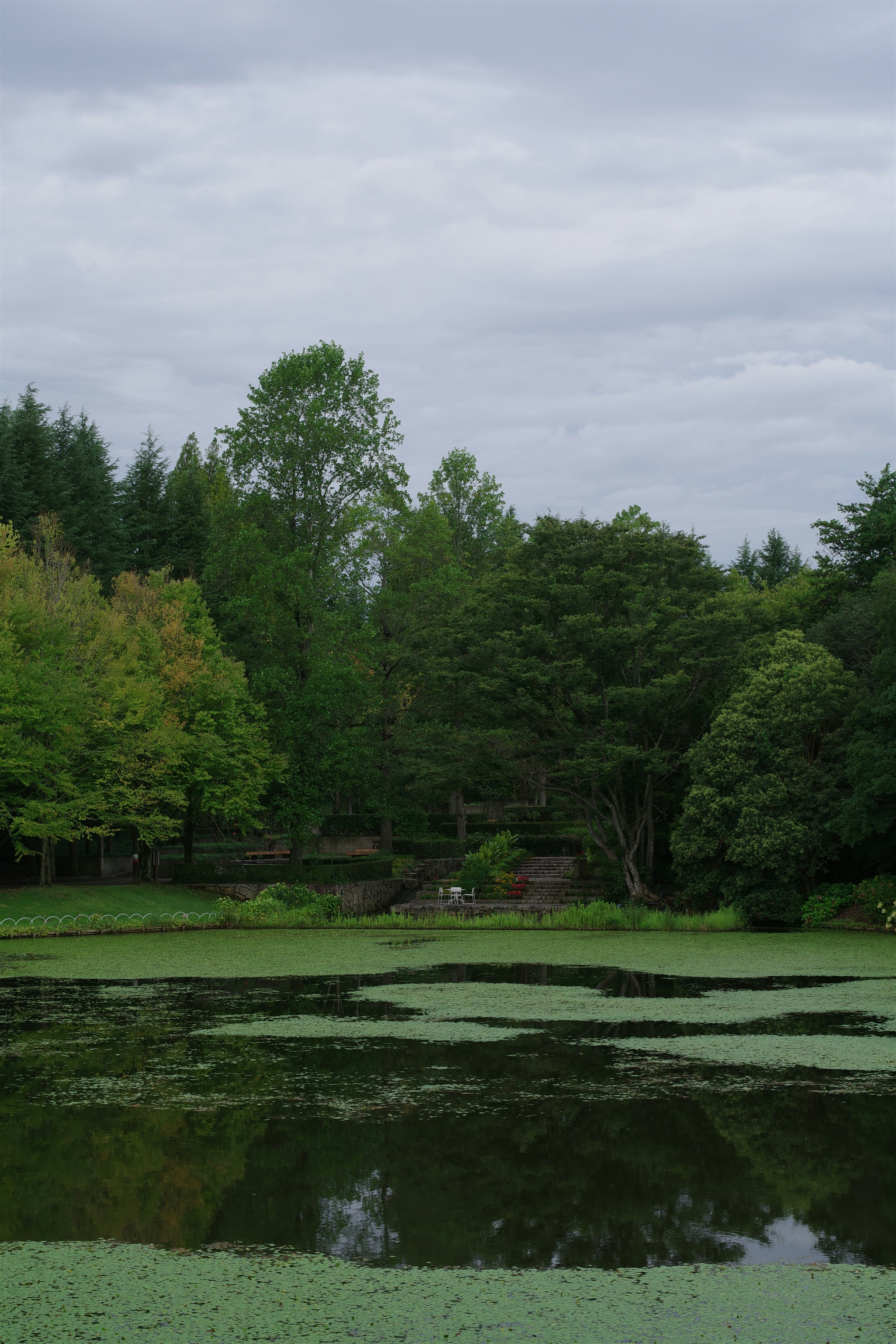 Rive lacustri e costiere
